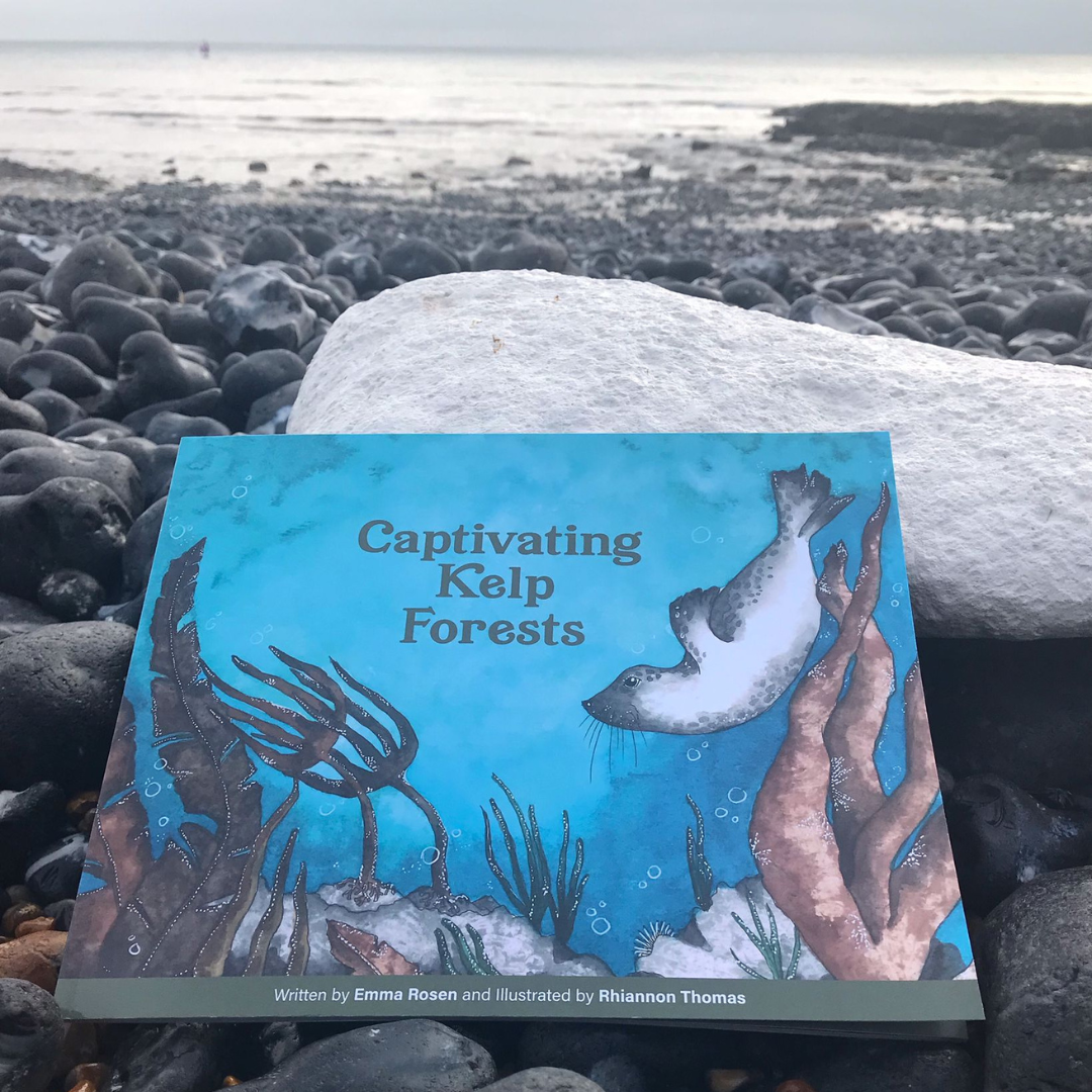 Captivating Kelp Forests