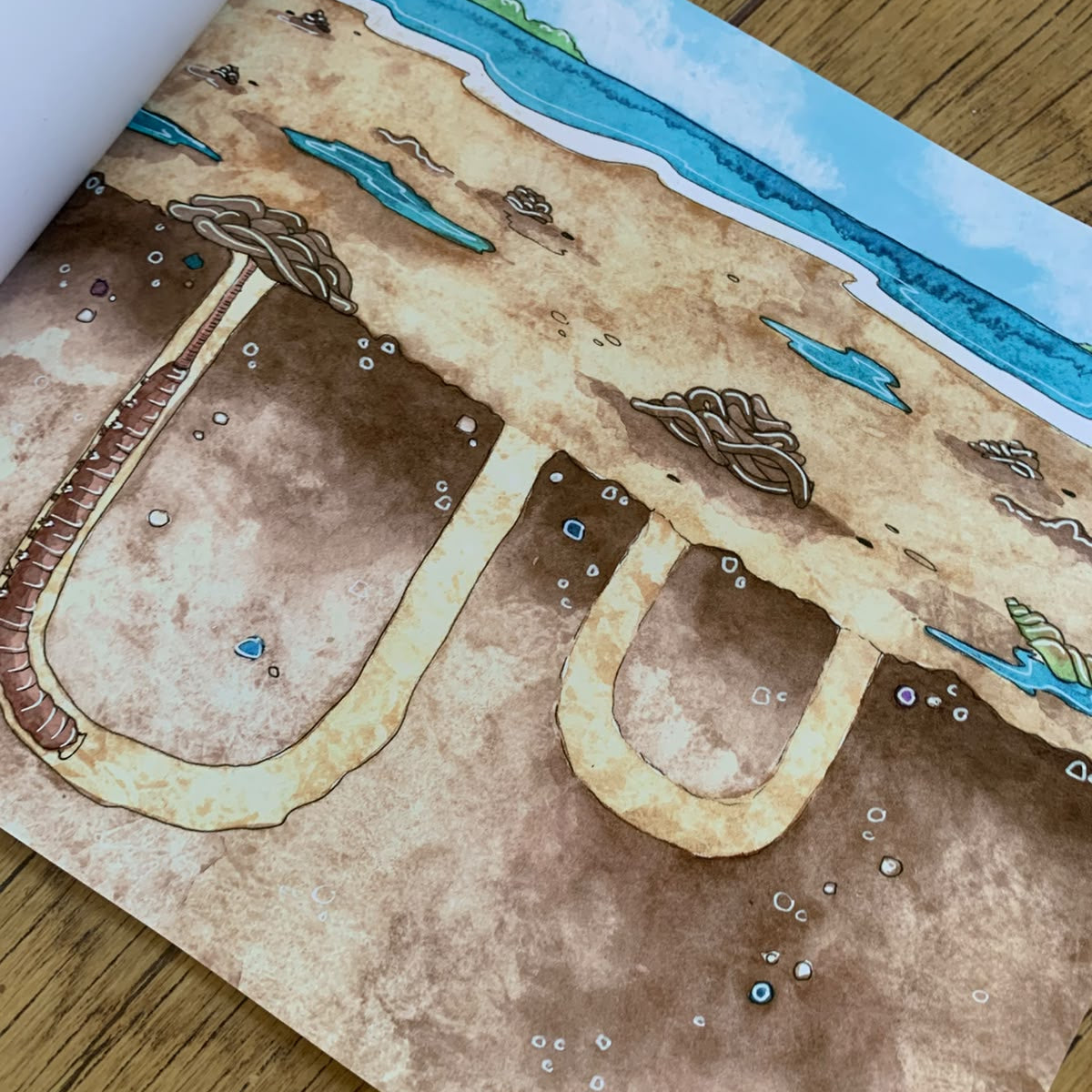 Magical Muddy Shores (Preorder)
